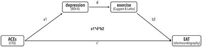 Behavioral pathway to a broken heart: The link between adverse childhood experiences, depression, physical exercise and cardiovascular health